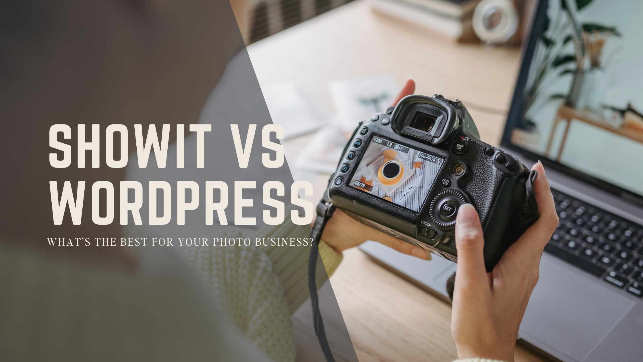 Showit vs Wordpress